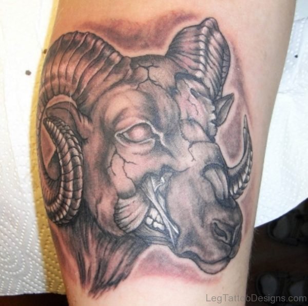 Awesome Aries Leg Tattoo