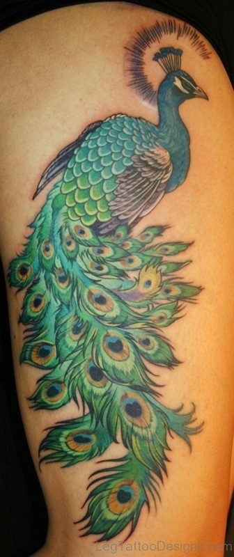 Beautiful Peacock Tattoo Design