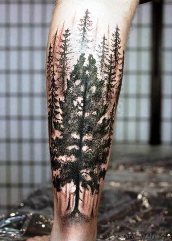 Big Tree Tattoo On Calf