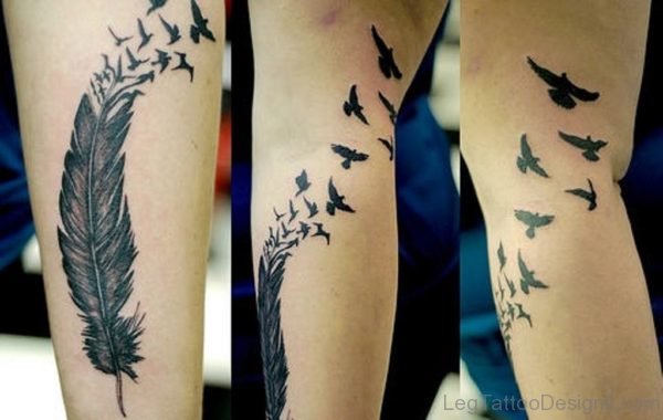 Birds And Feather Tattoo