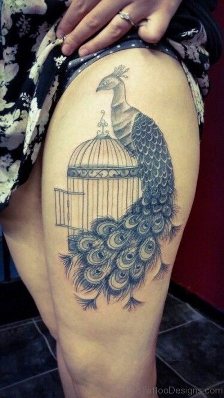 Charming Peacock And Cage Tattoo