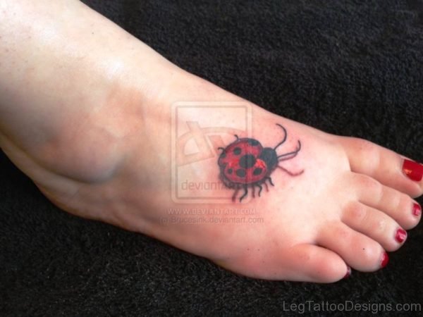 Ladybug Tattoo On Foot Pic