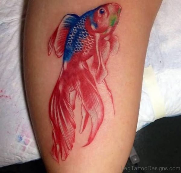 Lovely Fish Tattoo