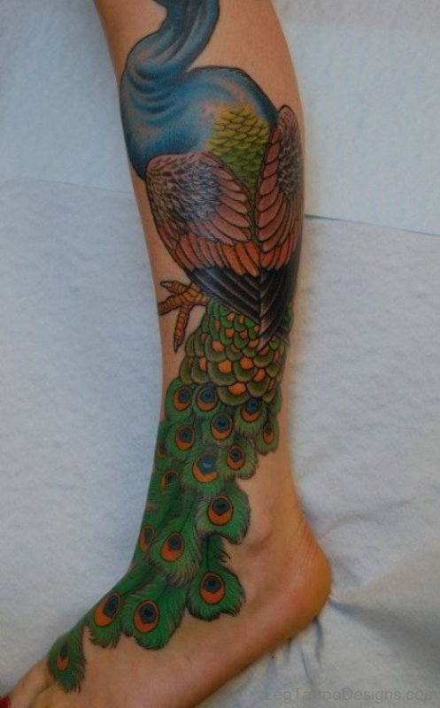 Nice Peacock Tattoo On Leg