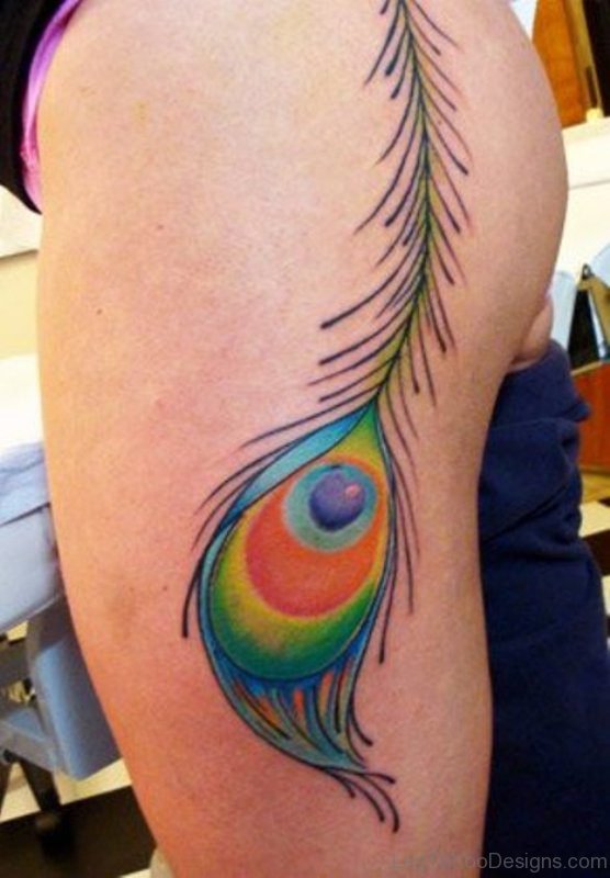 Nice Simple Peacock Feather Tattoo