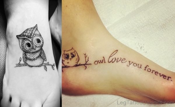 Owl Love You Forever
