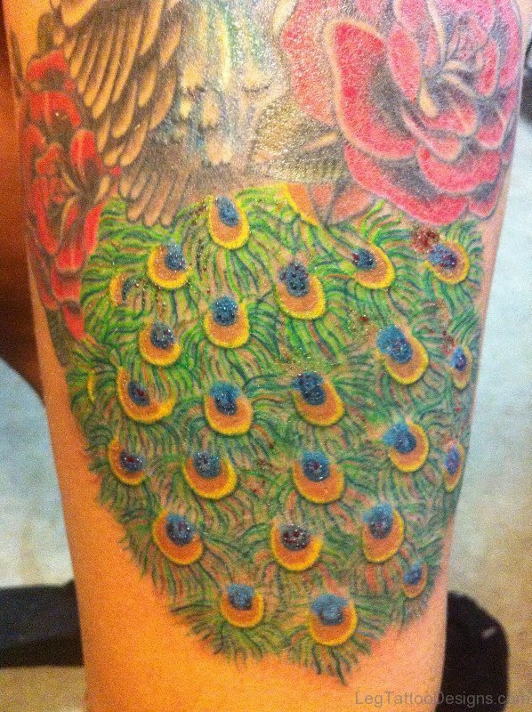 Peacock Feather Tattoo On Full Thigh