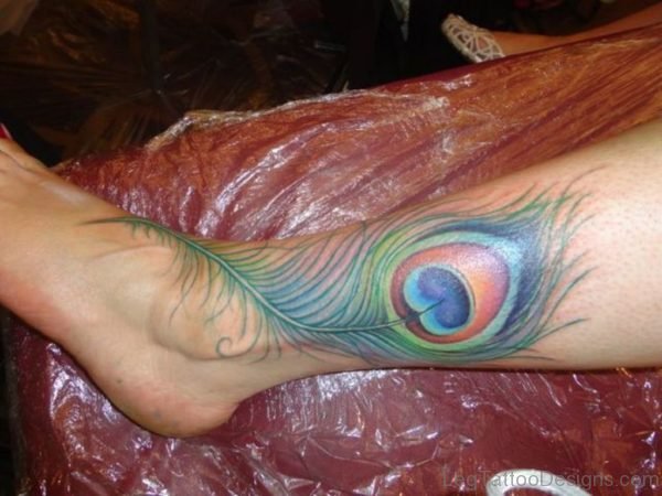 Peacock Feather Tattoo on Leg