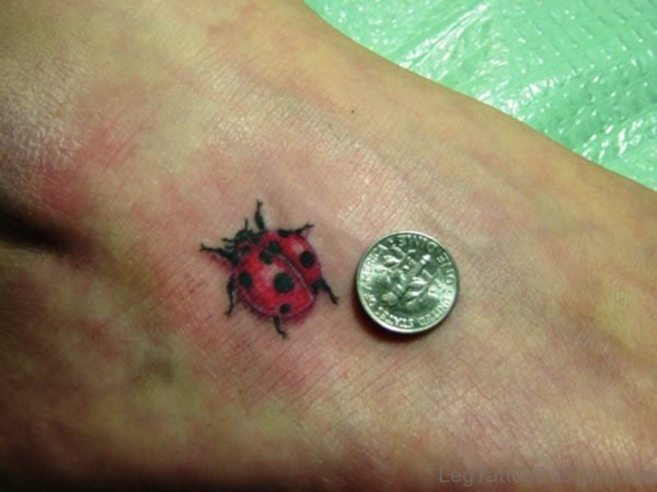 Photo Of Ladybug Tattoo