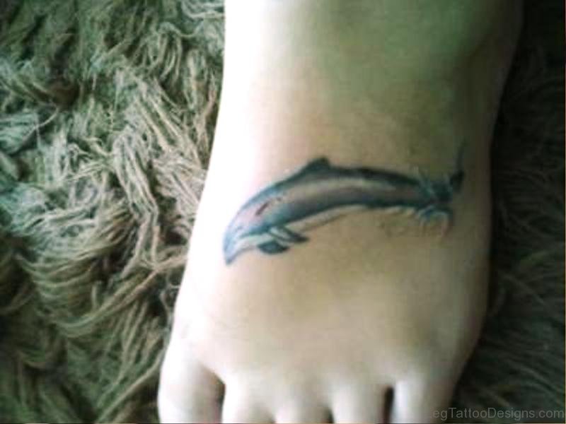Pic Of Dolphin Tattoo On Foot