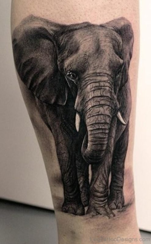 Realistic Elephant Tattoo On Leg