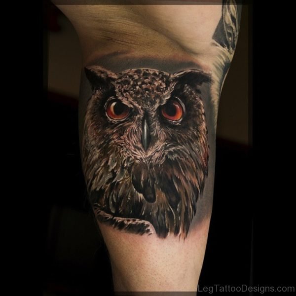 Realistic Owl Tattoo On Leg