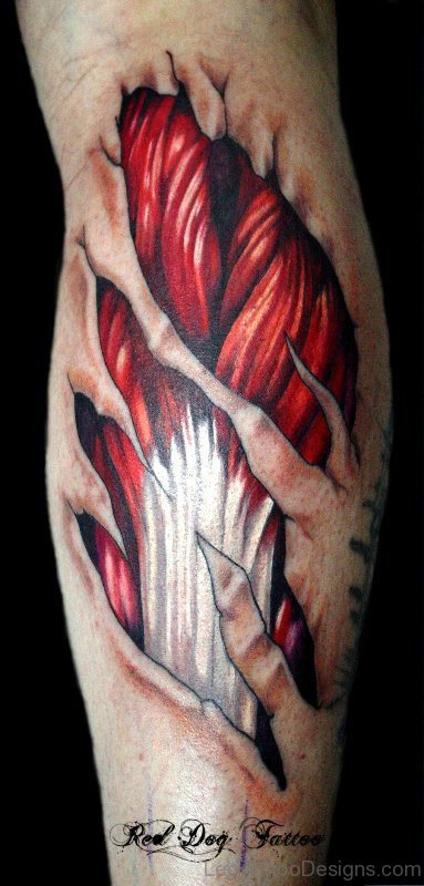 Red Muscles Tattoo On Calf