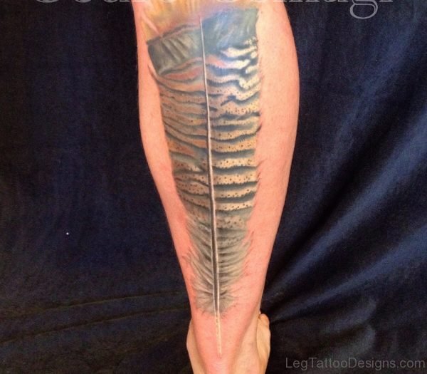Stylish Feather Tattoo On Leg