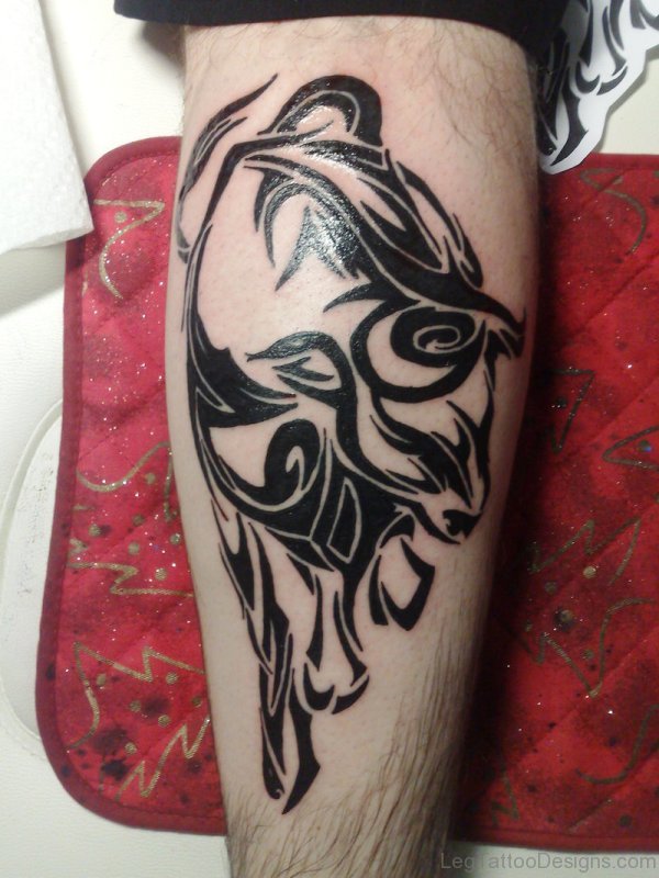 Tribal Bull Tattoo On Calf