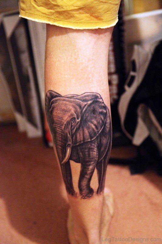 Wonderful Elephant Tattoo On Leg
