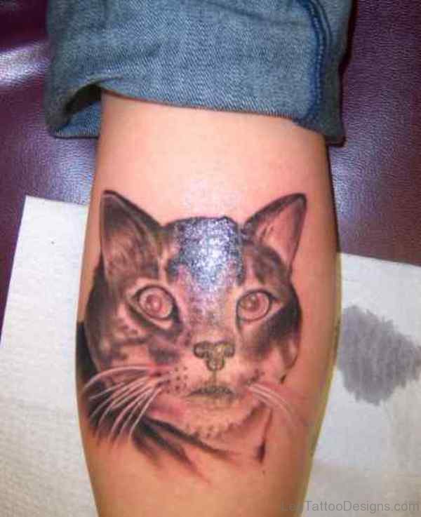 Angry Cat Tattoo On Leg