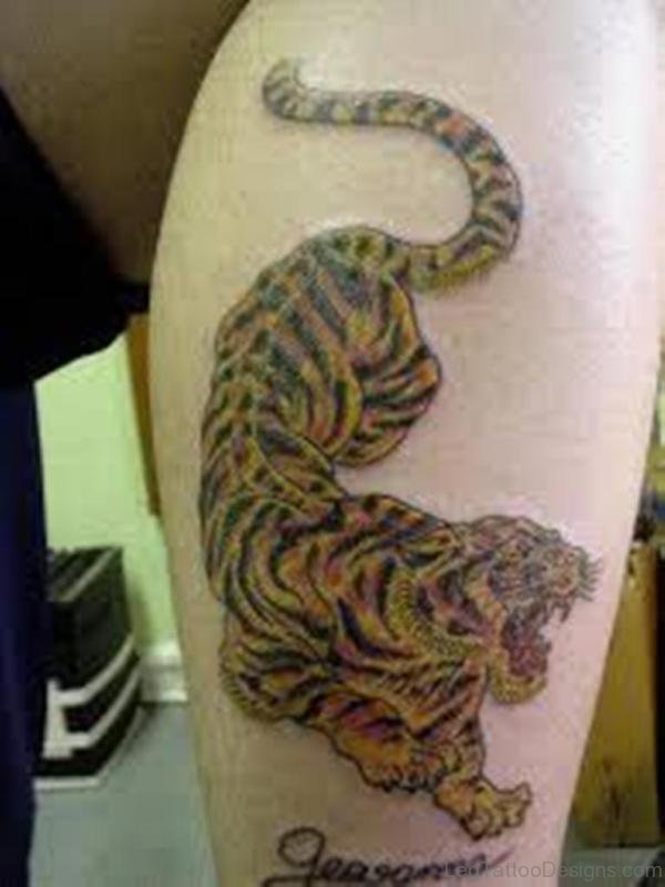 Angry Tiger Leg Tattoo Design