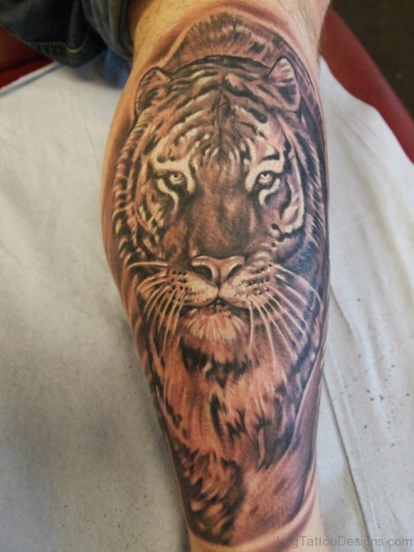 Attactive Tiger Tattoo