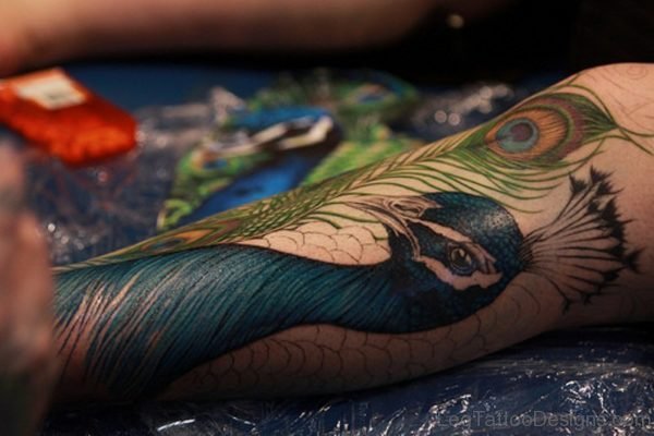 Awesome Peacock Tattoo On Leg