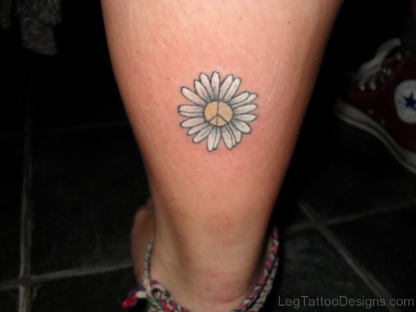 Beautiful Daisy Tattoo Design On Leg