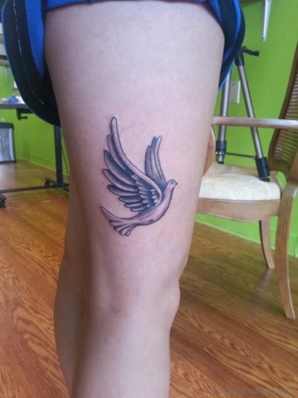 Dove Tattoo An Leg