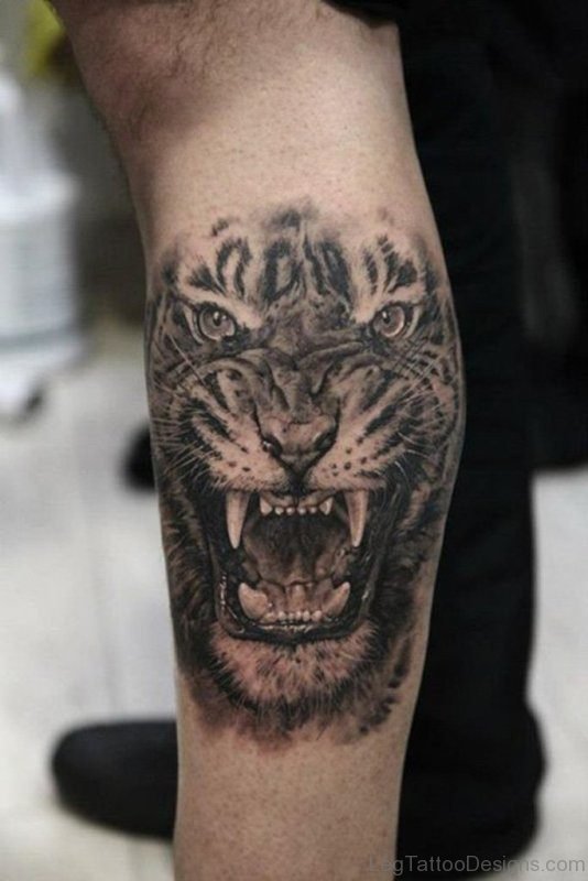 Grey Tiger Tattoo On Leg