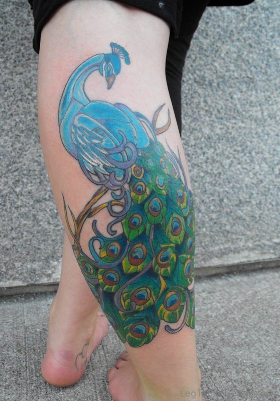 Lovely Peacock Tattoo Design On Leg