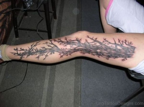 Nice Looking Tree Tattoo