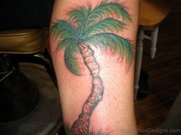 Palm Tree Tattoo On Leg 1