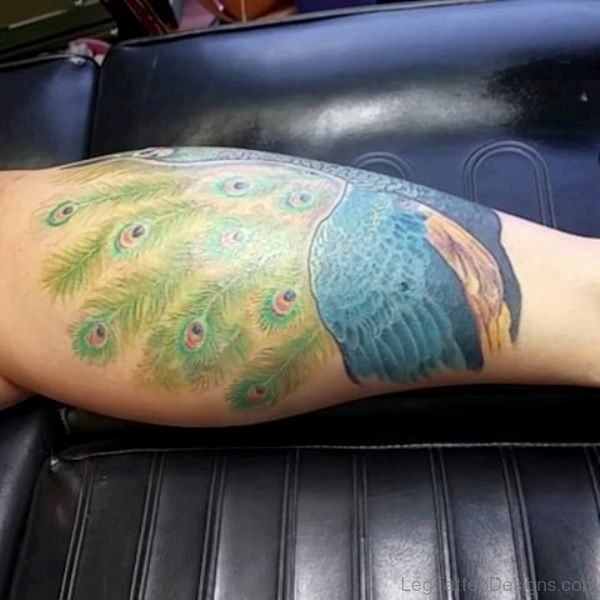 Stylish Peacock Leg Tattoo
