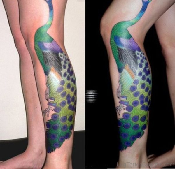 Stylish Peacock Tattoo On Leg