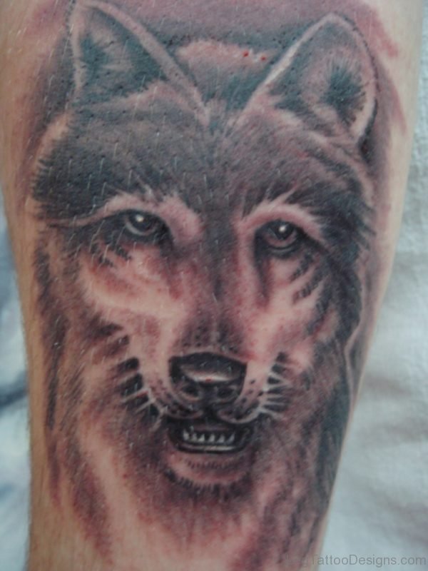 Wolf Tattoo Design On Leg